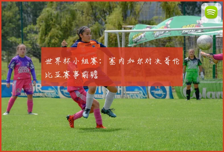 世界杯小组赛：塞内加尔对决哥伦比亚赛事前瞻