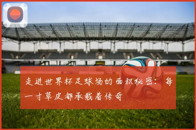 走进世界杯足球场的面积秘密：每一寸草皮都承载着传奇
