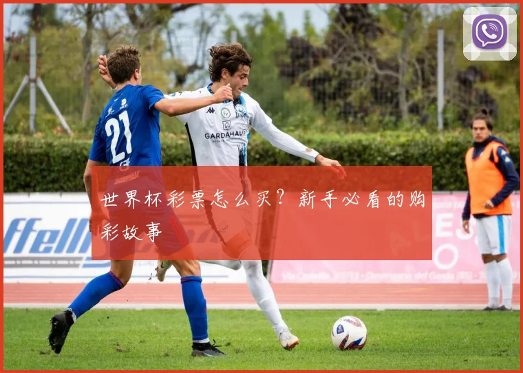 世界杯彩票怎么买？新手必看的购彩故事