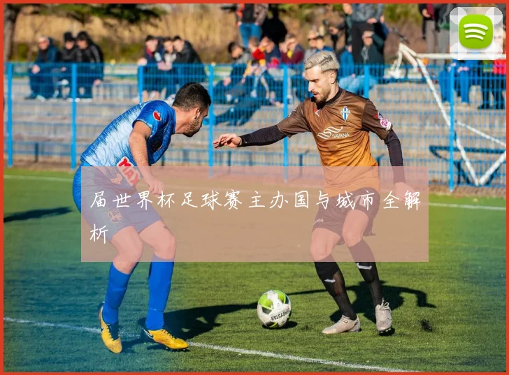 届世界杯足球赛主办国与城市全解析