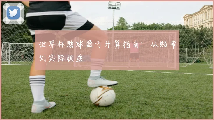 世界杯赌球盈亏计算指南:从赔率到实际收益