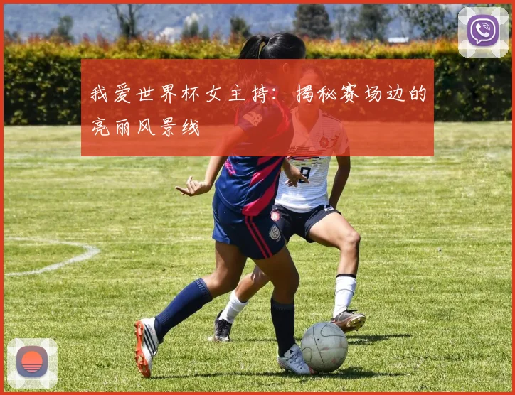 我爱世界杯女主持：揭秘赛场边的亮丽风景线