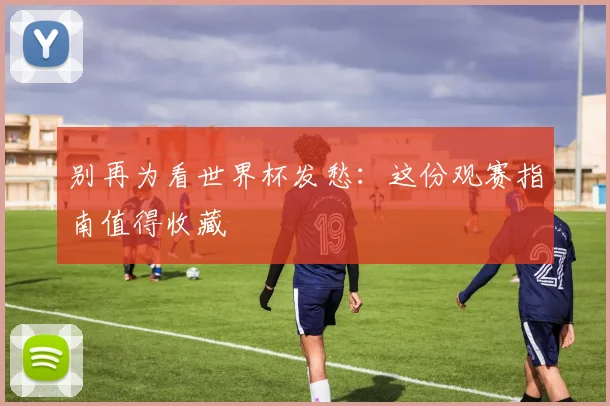 别再为看世界杯发愁：这份观赛指南值得收藏