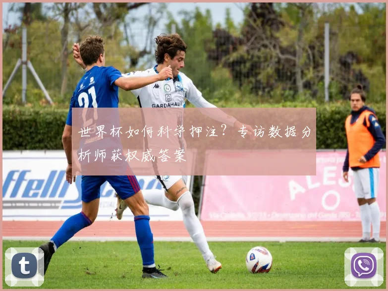 世界杯如何科学押注？专访数据分析师获权威答案